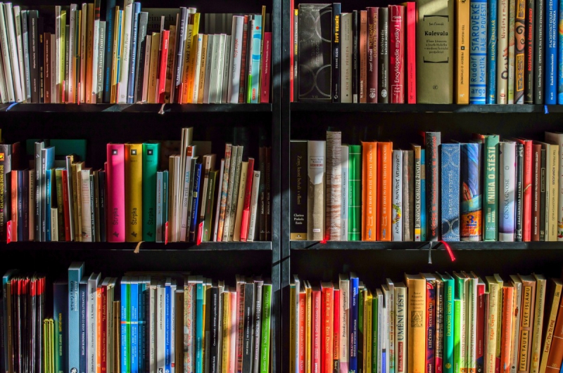 vitrine-MARIE-min_books_bookstore_book_reading_shop_writer_sale_books_read-822866